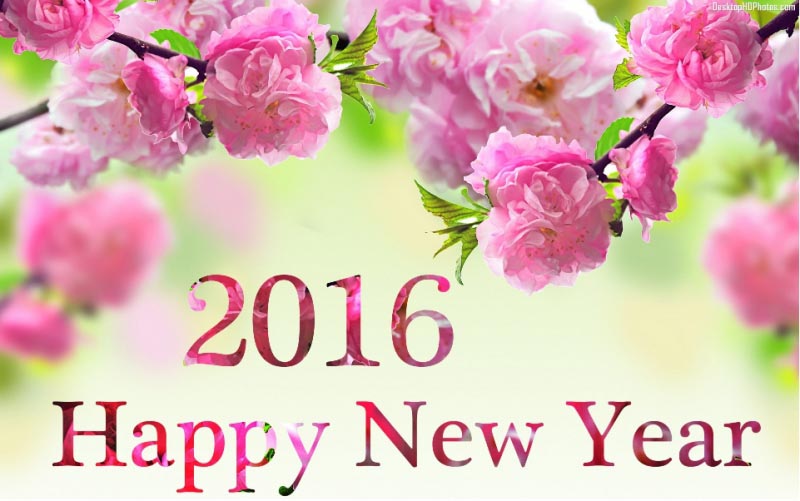Happy New Year 2016