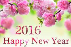 Happy New Year 2016