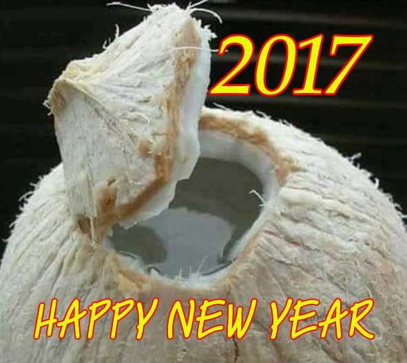 Happy New Year 2017 Messages For Facebook Friends
