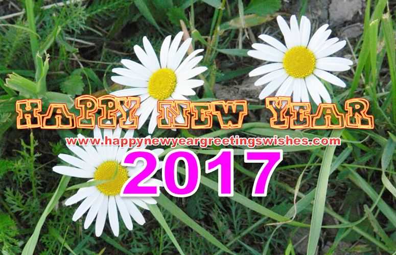 Happy New Year 2017 Quotes For Whatsapp Friends