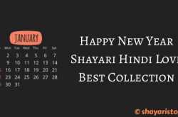 Happy New Year Shayari Hindi Love - Best Collection