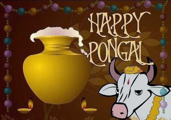 Happy Pongal 2015 Wallpapers