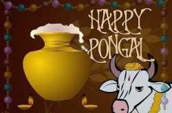 Happy Pongal 2015 Wallpapers