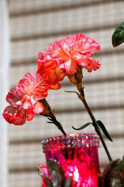 Happy Second Birthday, Rangkatha !!