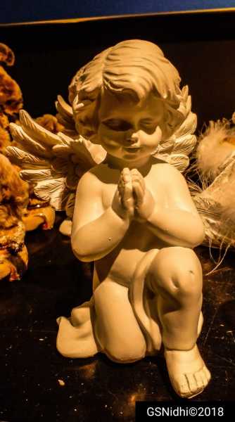 Happy Thanksgiving!!!! #WORDLESSWEDNESDAY