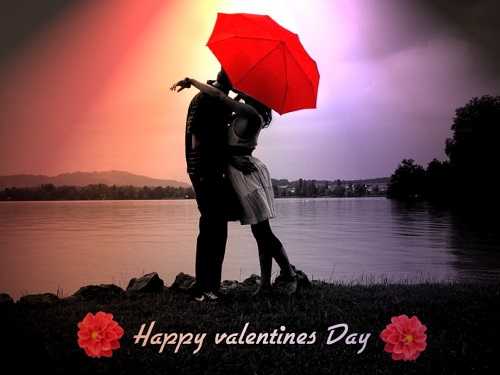 Happy Valentines Day Images 2019 - Rose, Propose, Chocklate, Teddy, Promise, Kiss, Hug, Slap