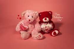 Happy Valentines Day Photos, Images, Hd Wallpapers and Cards