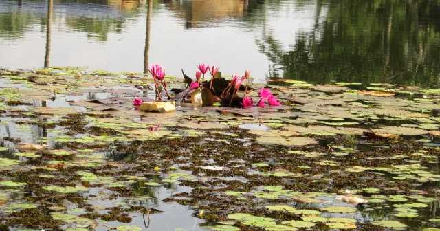 Happy And Prosperous New Year To All Of You