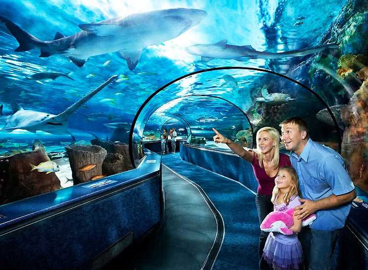 Have A Gala Time With The Top Things To Do In Singapore With Kids