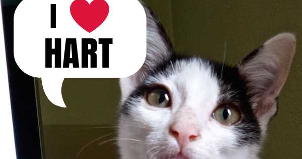 Have A HART: Himalayan Animal Rescue Trust (Part Two)