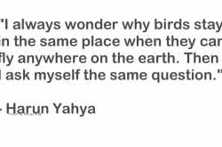 Have bag, will travel.