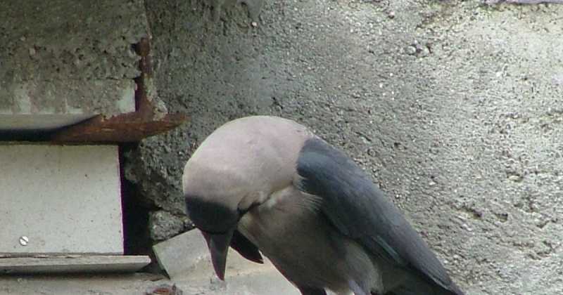 Have You Named It Yet?