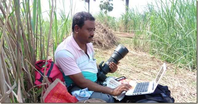He Grows Lush Forest Through Guerrilla Gardening #WATWB - A Rose Is A Rose Is A Rose!