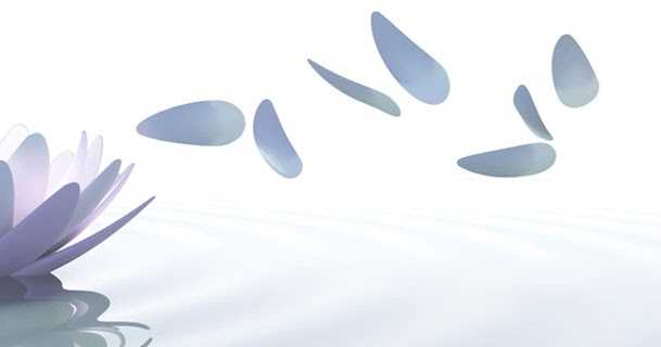 Healing Myths Series - Myth 1:Time Heals Everything