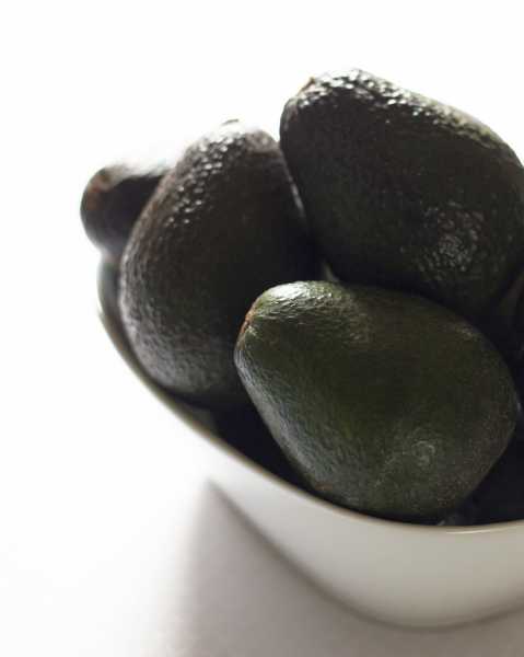 Health Benefits Of Avocado During Pregnancy - Parenting Blog In India