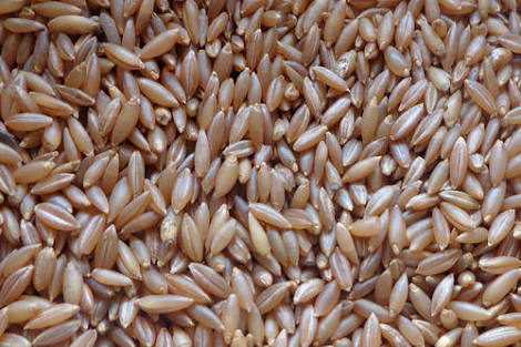 Health Benefits Of Bamboo Rice And Recipes - Simple Indian Mom