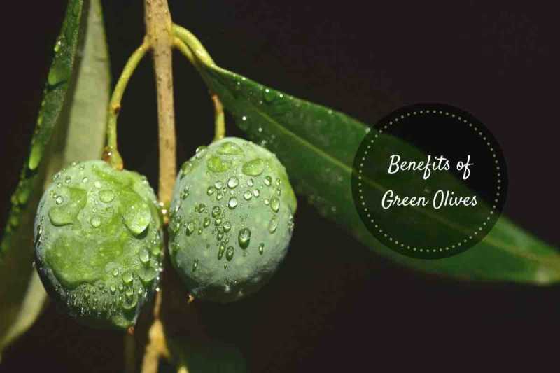 Health Benefits Of Green Olives: Much More Than A Pizza Topping