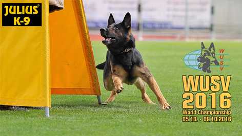 Health Certificate Is Mandatory For Participation In The WUSV World Championship And Universal Championship