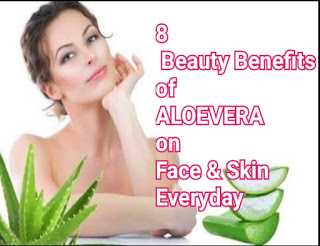 Health Corner For All:   8 Beauty Benefits Of Applying Aloe Vera Gel On Face And Skin Everyday