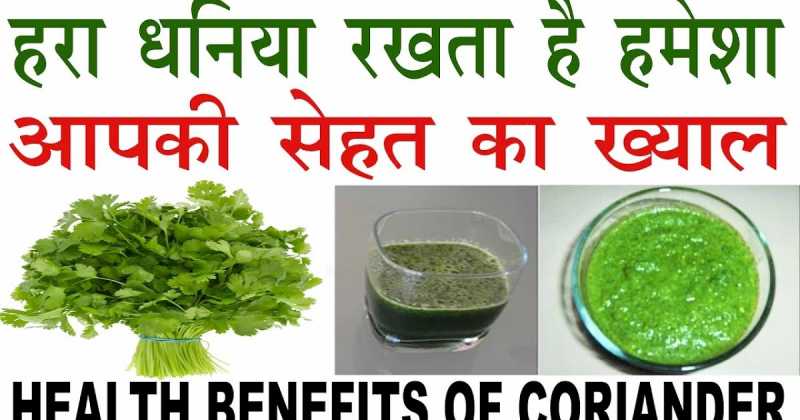 Health Benefits Of Coriander || Hara Dhaniya Ke Fayde Hindi Me 