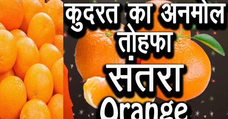 Health Benefits Of Natural Orange And Orange Juice In Hindi  