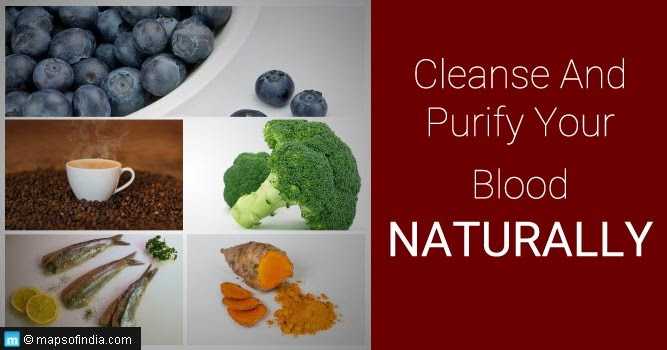 Health Care Present Natural Blood Purifier Food