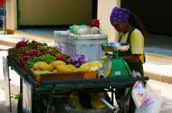 Healthy Food Business