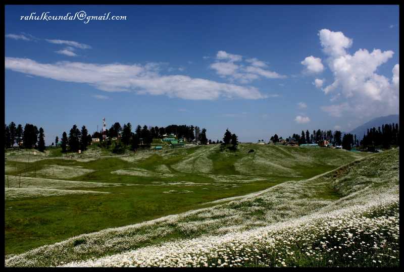Heavenly Gulmarg - Kashmir India