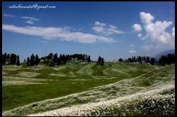 Heavenly Gulmarg - Kashmir India
