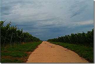 Heidelberg (rain (motor (bike))) Trip.