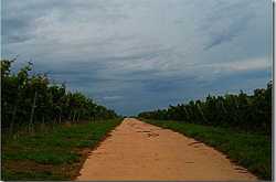 Heidelberg (rain (motor (bike))) trip.