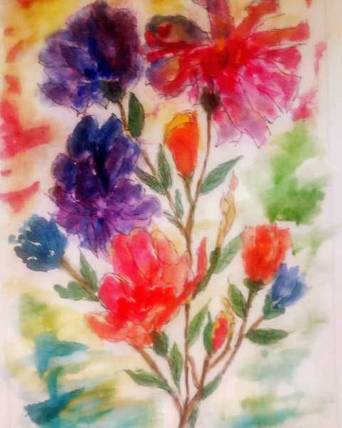 Hello December  - Flowers, Reviews, Conversations