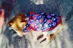 Help Always comes to Those Who Seek It