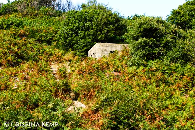 Hemingway Of The Hills