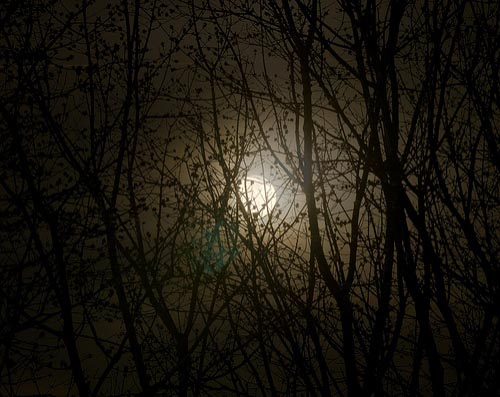 Her Quondam Lover (Part 1)