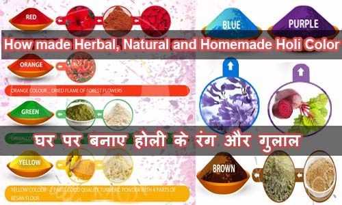 Herbal, Natural And Homemade Holi Color In Hindi