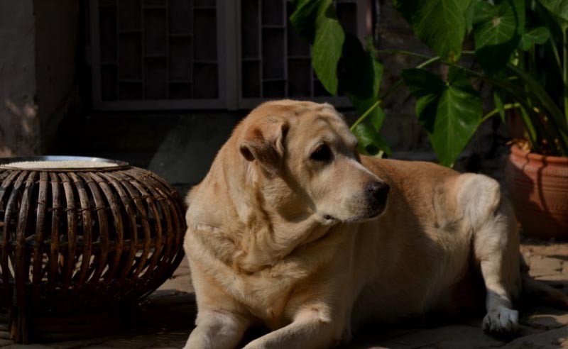 Here Begins The Life Without You...