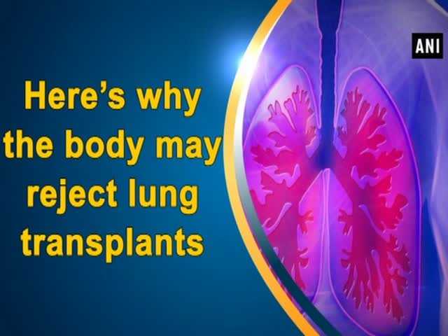 Here’s Why The Body May Reject Lung Transplants | DailyHealthNeeds.com