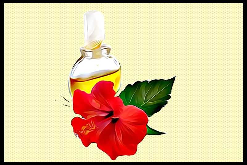 Hibiscus Oil Home Remedy For Hair Fall - Beauty And Fitness For Women