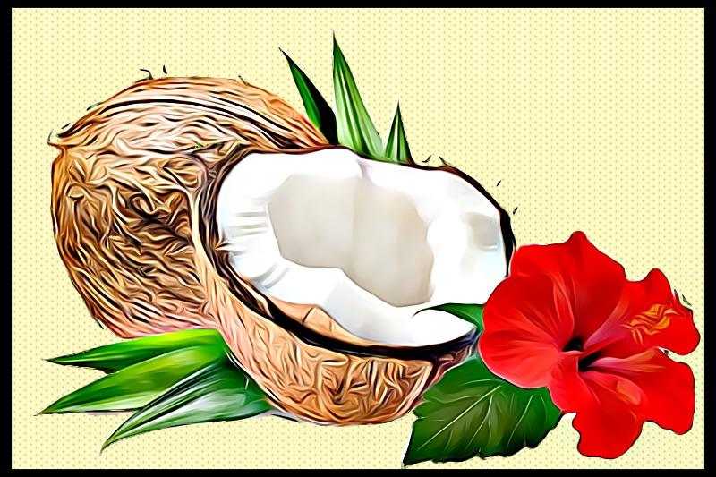 Hibiscus And Coconut Milk For Hair Loss In Women - Beauty And Fitness For Women