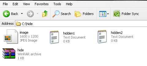 Hiding Files Inside A JPEG Image