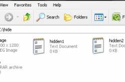 Hiding files inside a JPEG Image