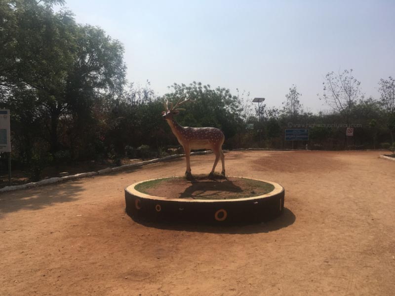 High On Hyderabad ! Bhagyanagar Nandanavanam