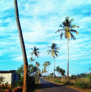 Highway Of Peace - Truptea Shop