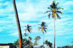 Highway of Peace - Truptea Shop