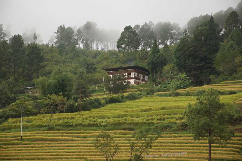 Hike To Beautiful Khamsum Chorten, The Old Hilltop Temple