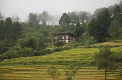 Hike to beautiful Khamsum Chorten, the old hilltop temple