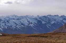 Hikkim Village in Spiti - Travelers & Backpackers [Detailed Travel Guide]