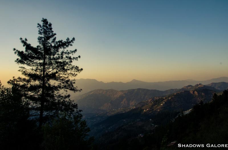 Himachal Diaries - The Beginning At Fagu | Shadows Galore