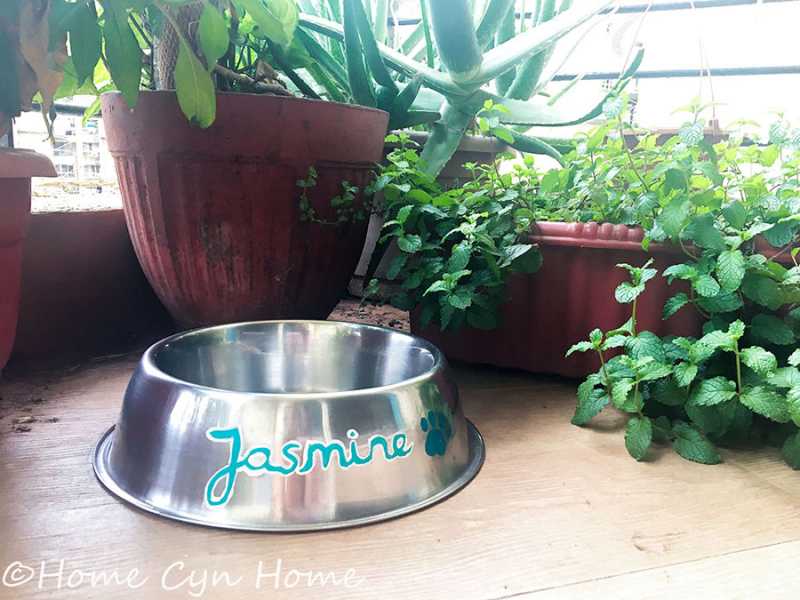 Home Cyn Home: Tribute To A Departed Pet